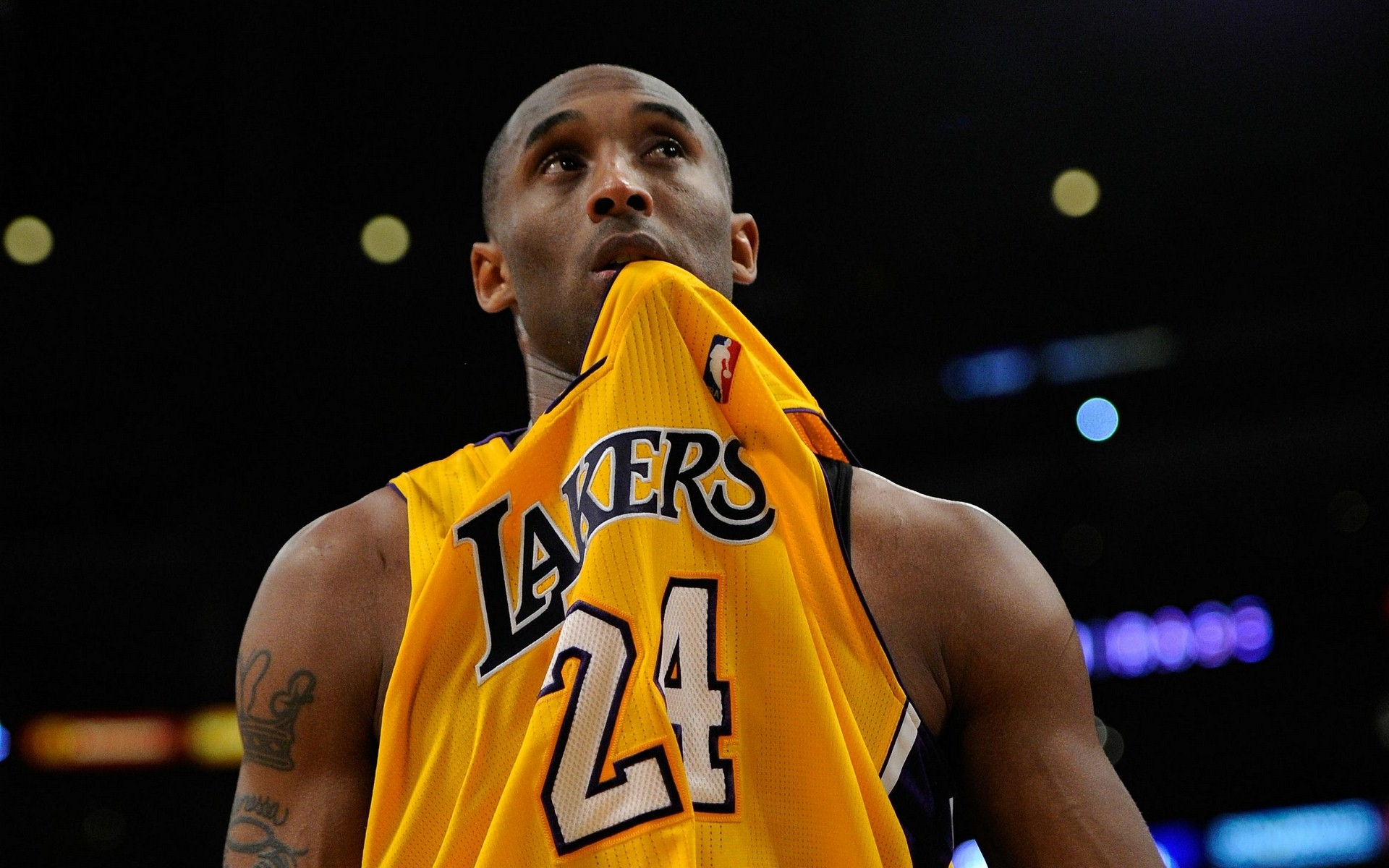 提供清晰的 提供清晰的