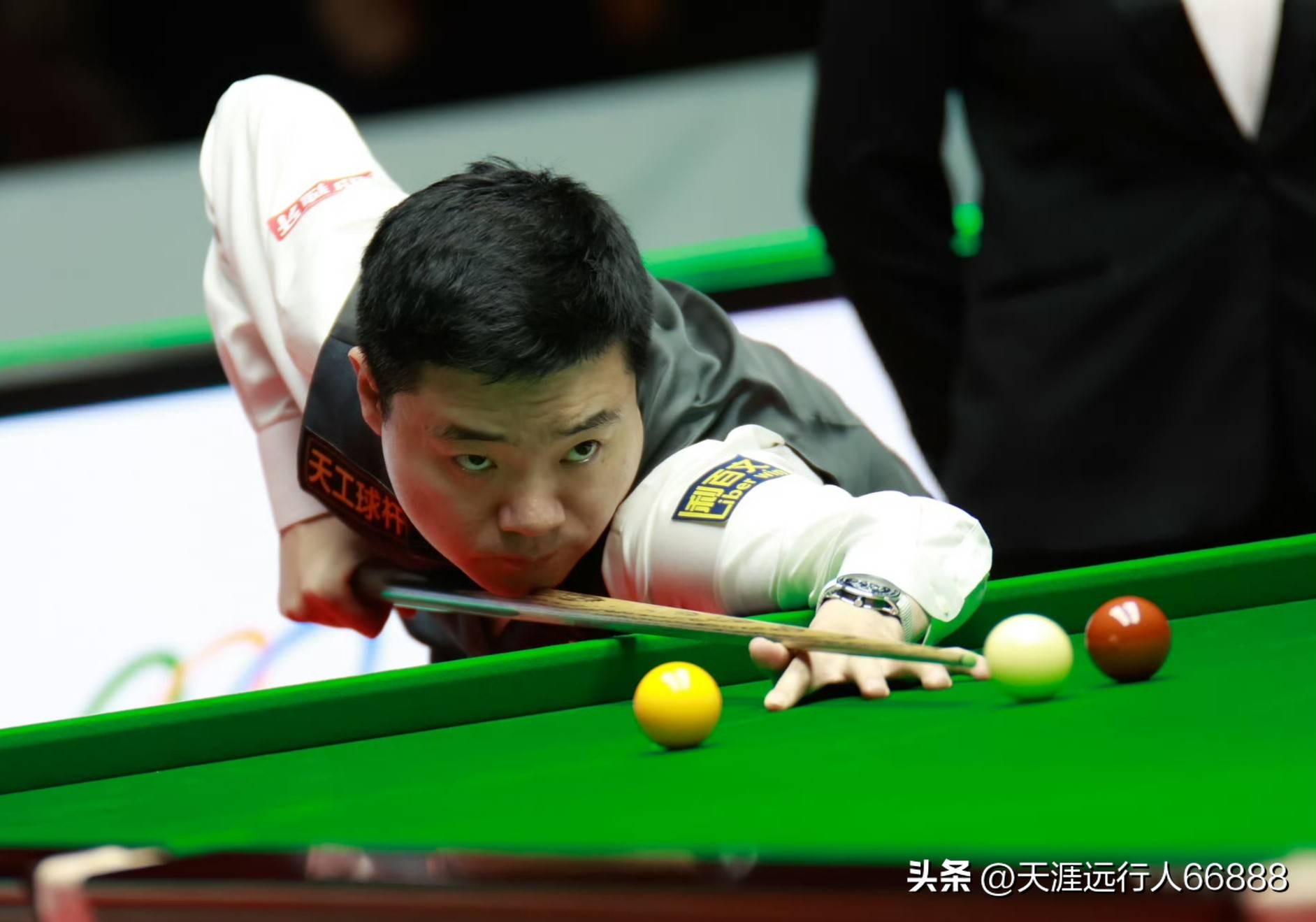 年度最佳选 年度最佳选